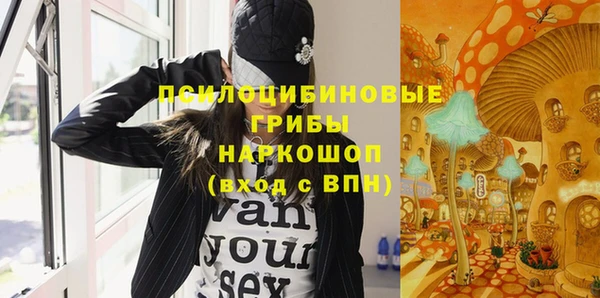 молекула духа Алзамай