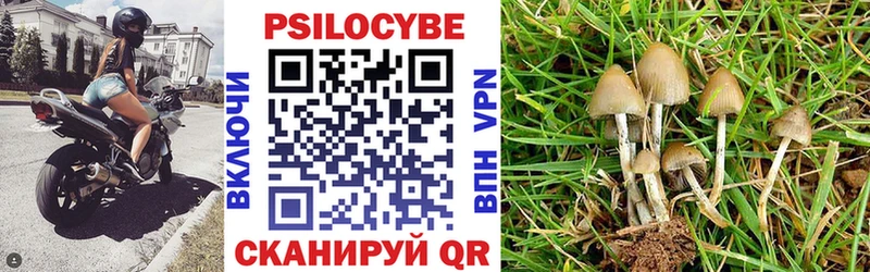 Галлюциногенные грибы MAGIC MUSHROOMS  где найти наркотики  Мурманск 